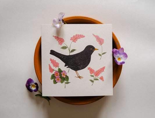 Vogelvriend | Merel