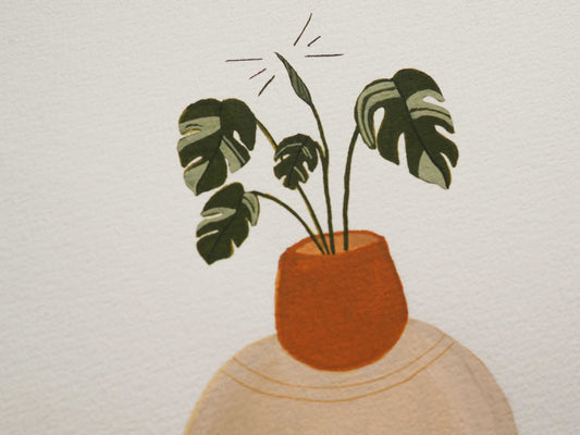 Original | Baby on the way - Lifebetweenplants