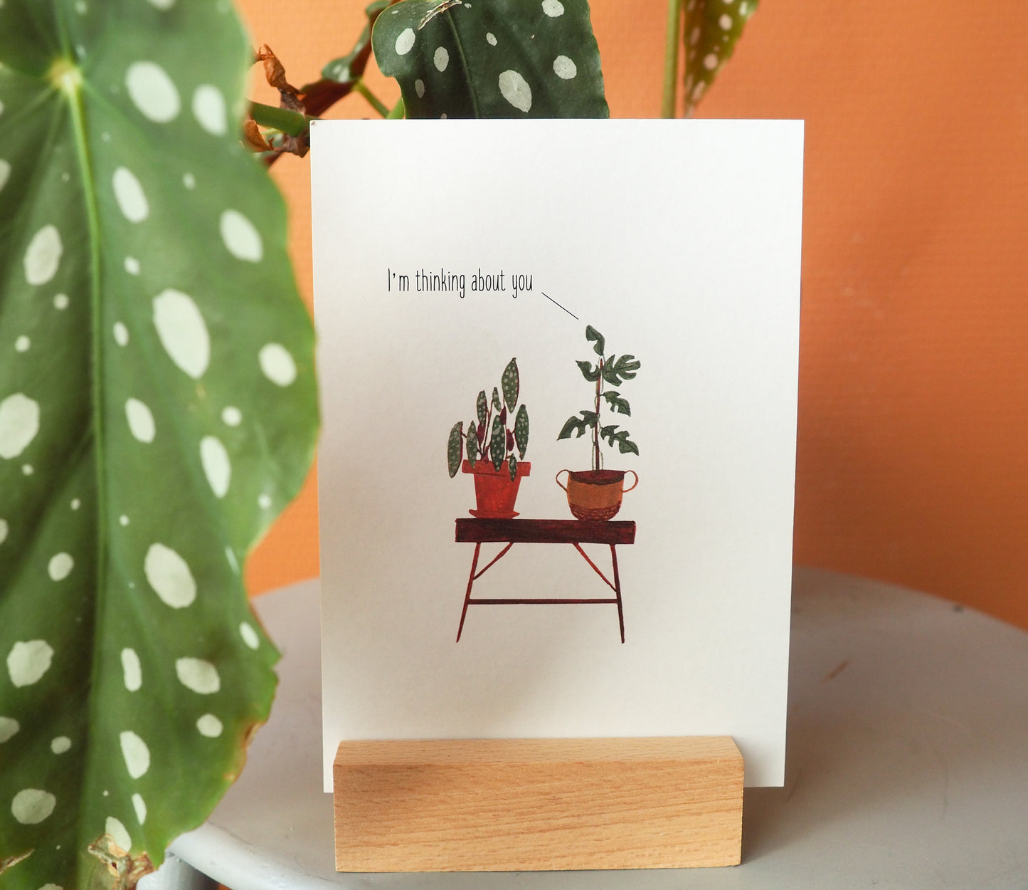 Wenskaart | Thinking about you - Lifebetweenplants