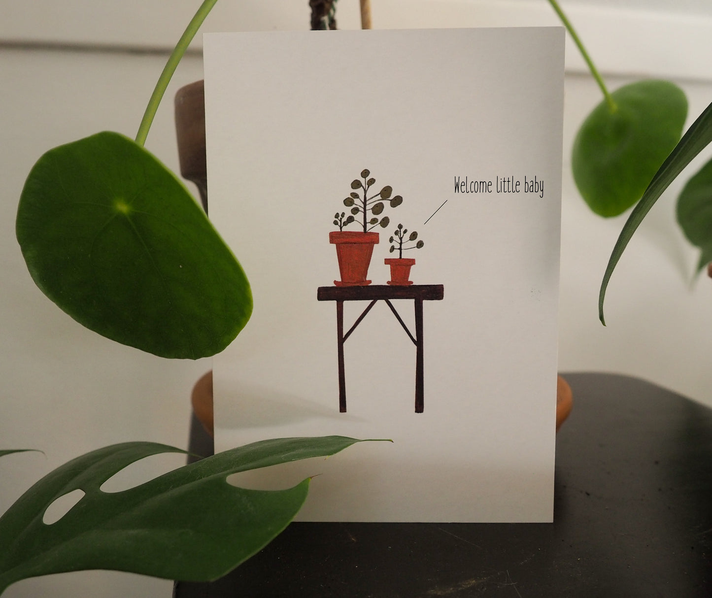 Wenskaart | Welcome little baby - Lifebetweenplants