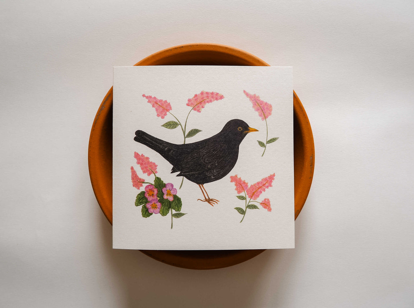 Vogelvriend | Merel
