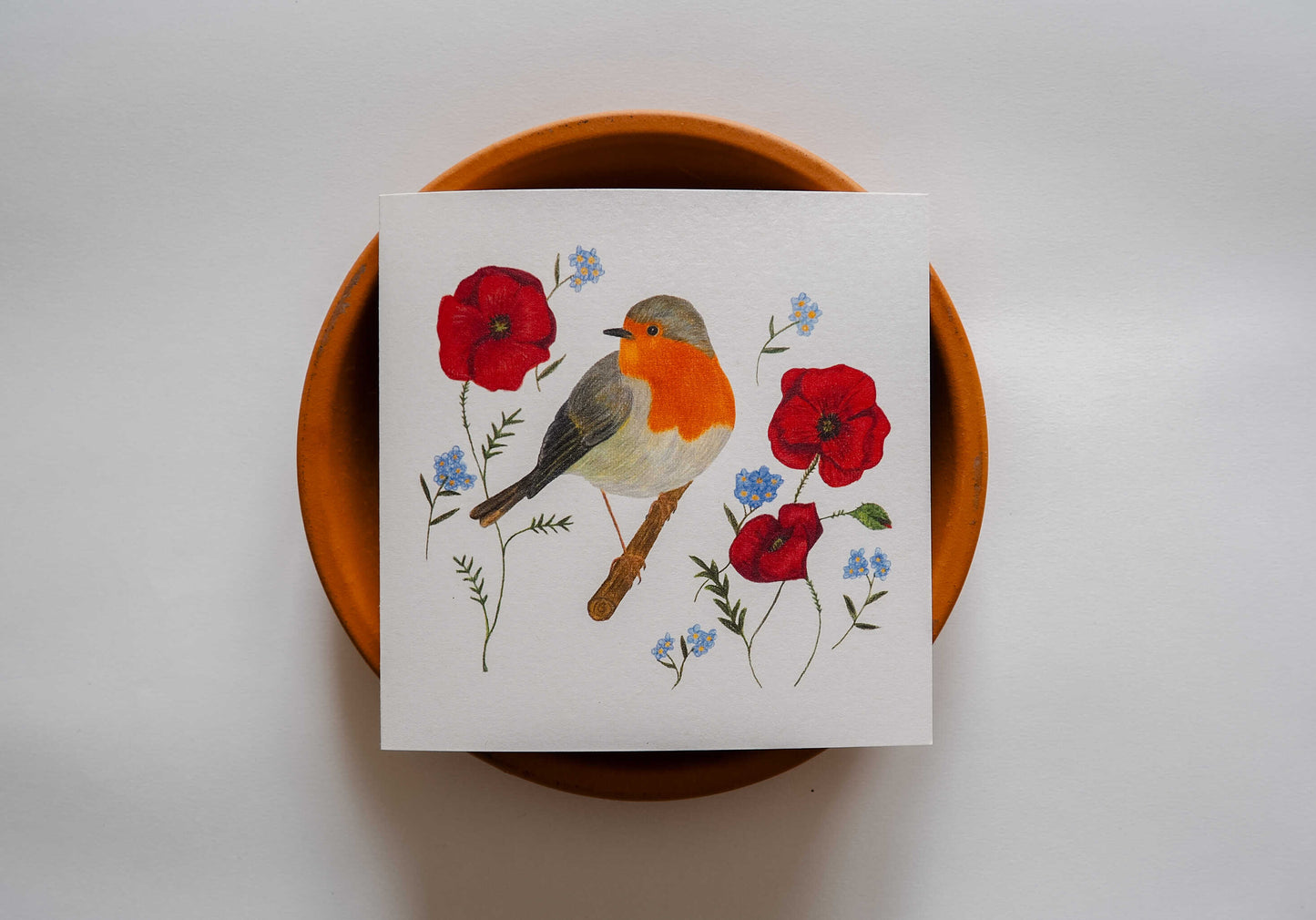 Vogelvriend | Roodborst