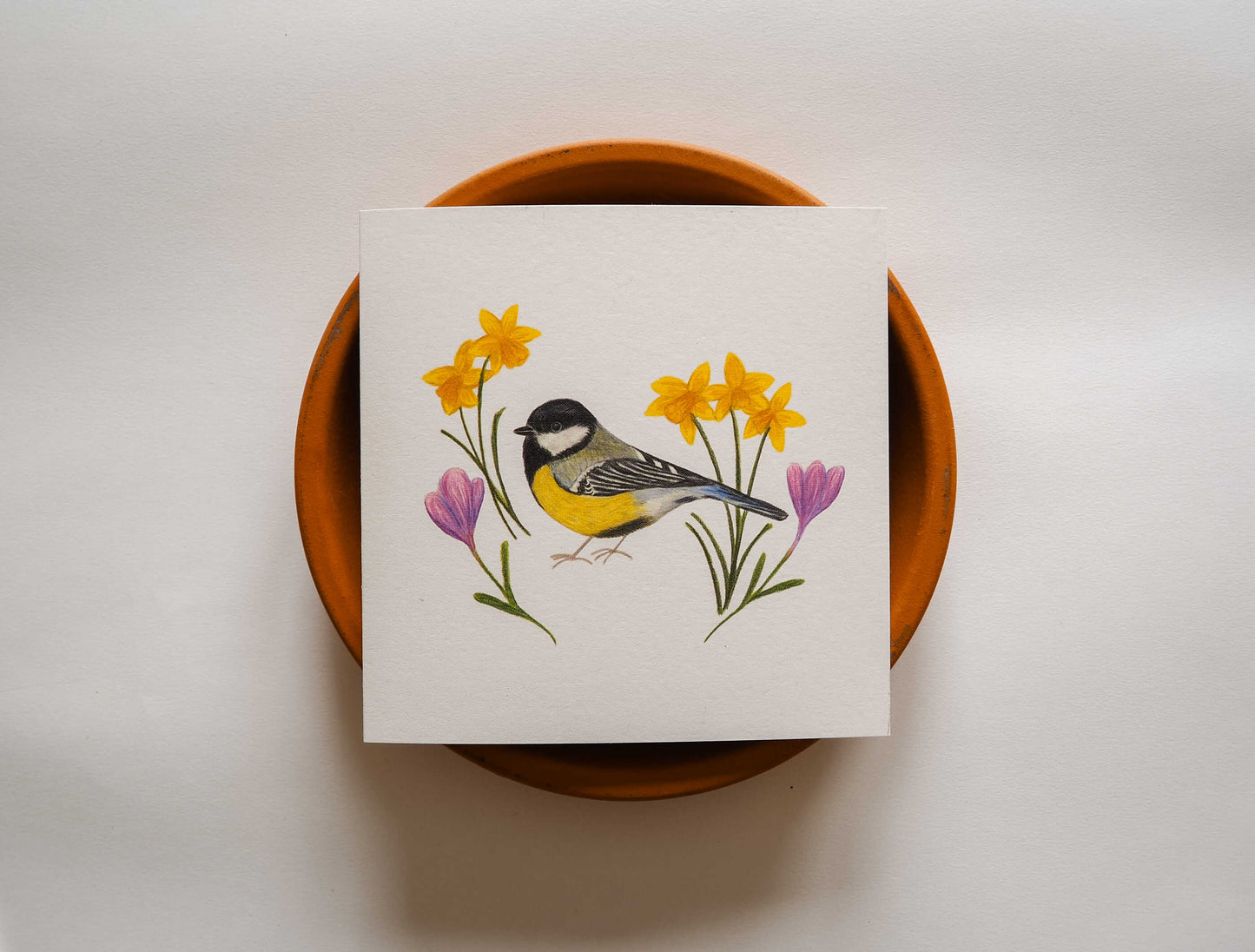 Vogelvriend | Koolmees