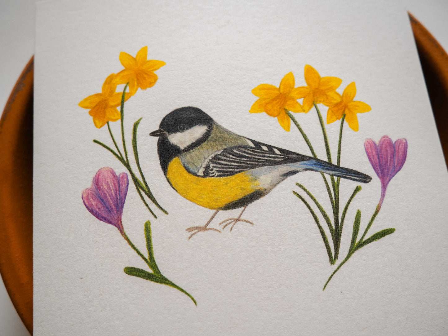 Vogelvriend | Koolmees