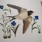 Vogelvriend | Zwaluw