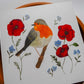 Vogelvriend | Roodborst