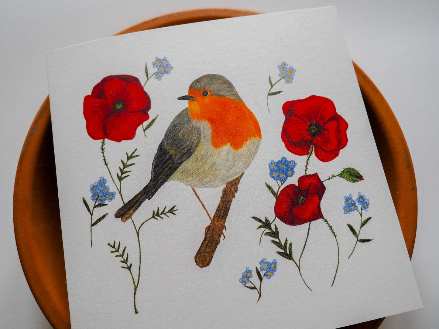 Vogelvriend | Roodborst