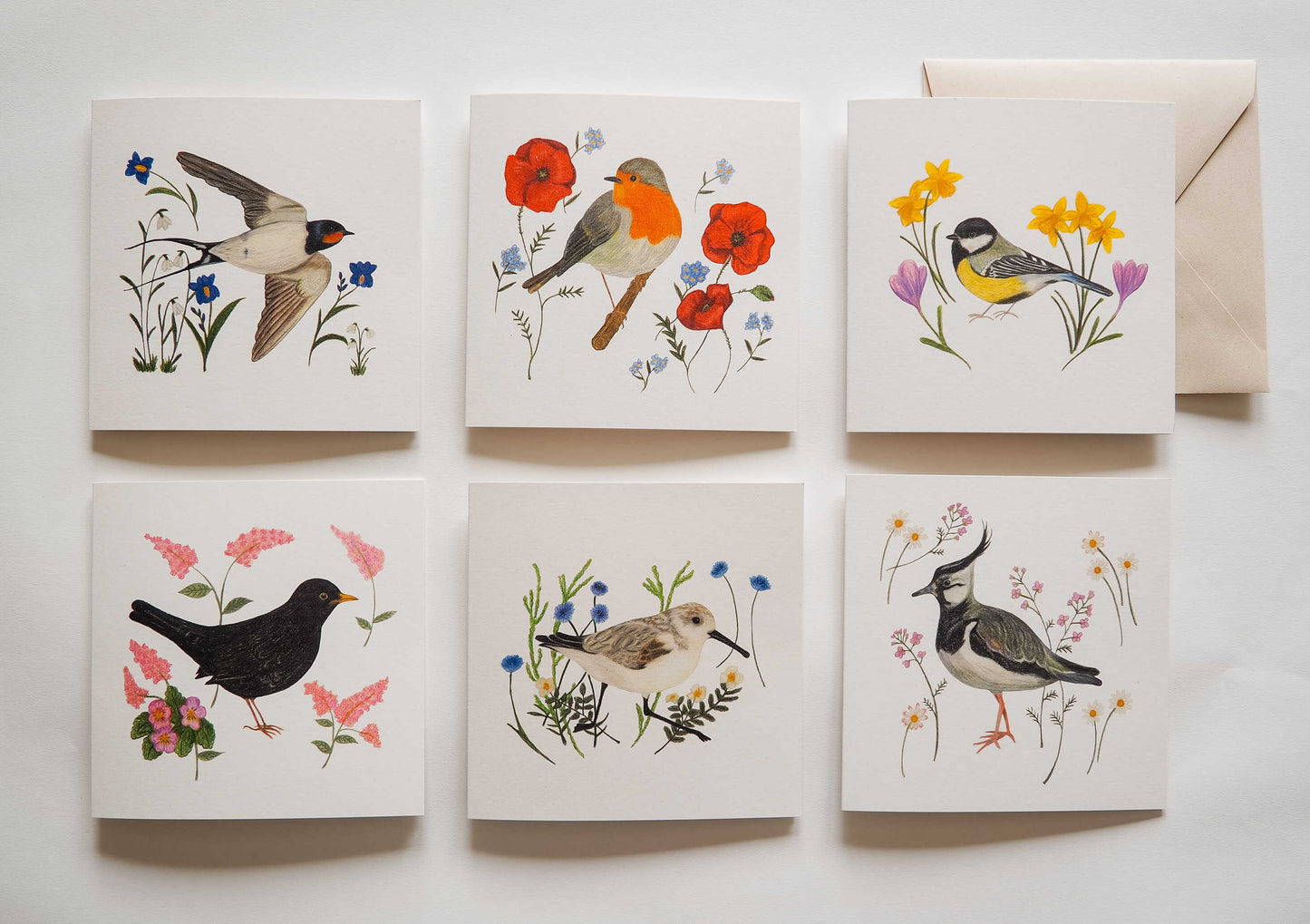 Vogelvrienden | Set van 6
