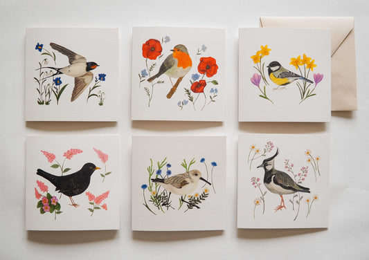 Vogelvrienden | Set van 6