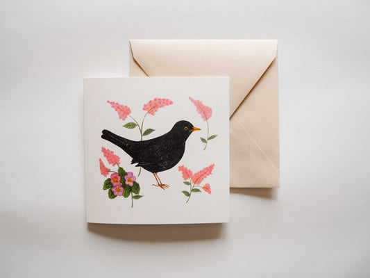 Vogelvriend | Merel