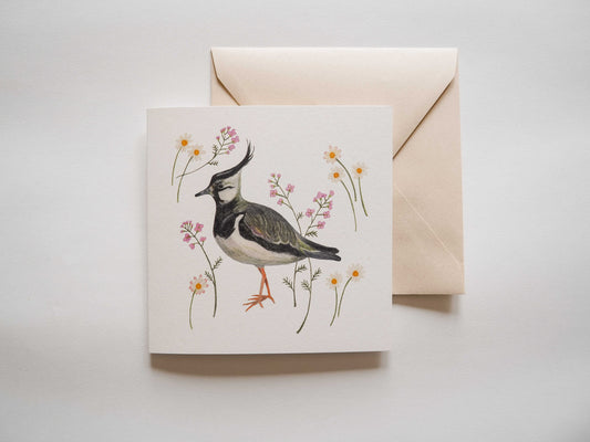 Vogelvriend | Kievit