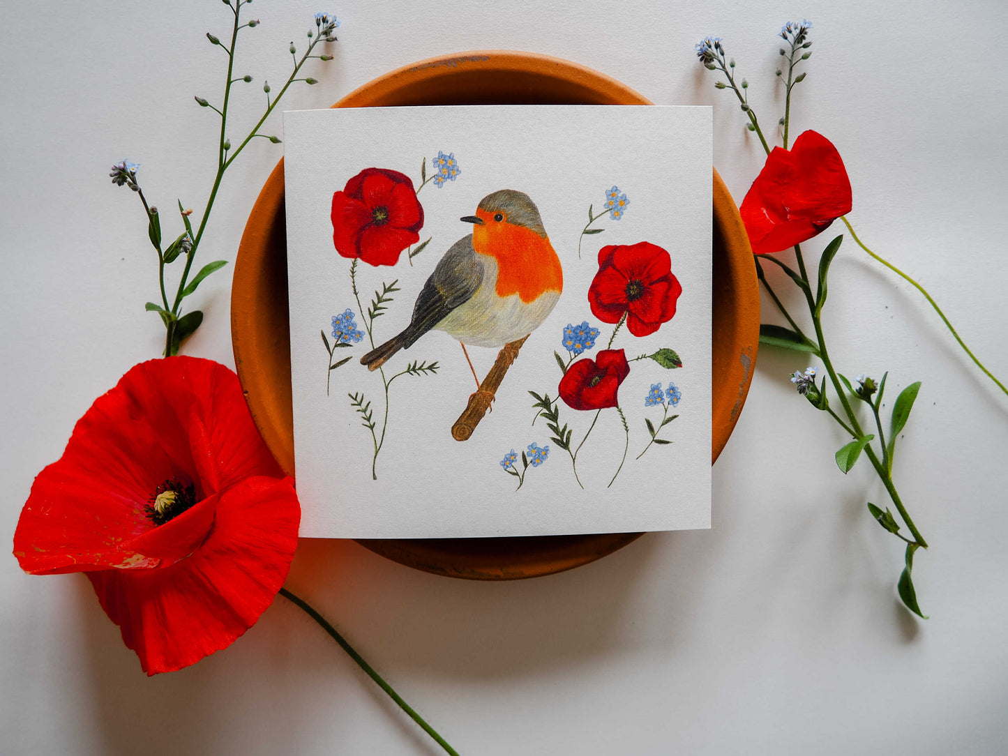 Vogelvriend | Roodborst