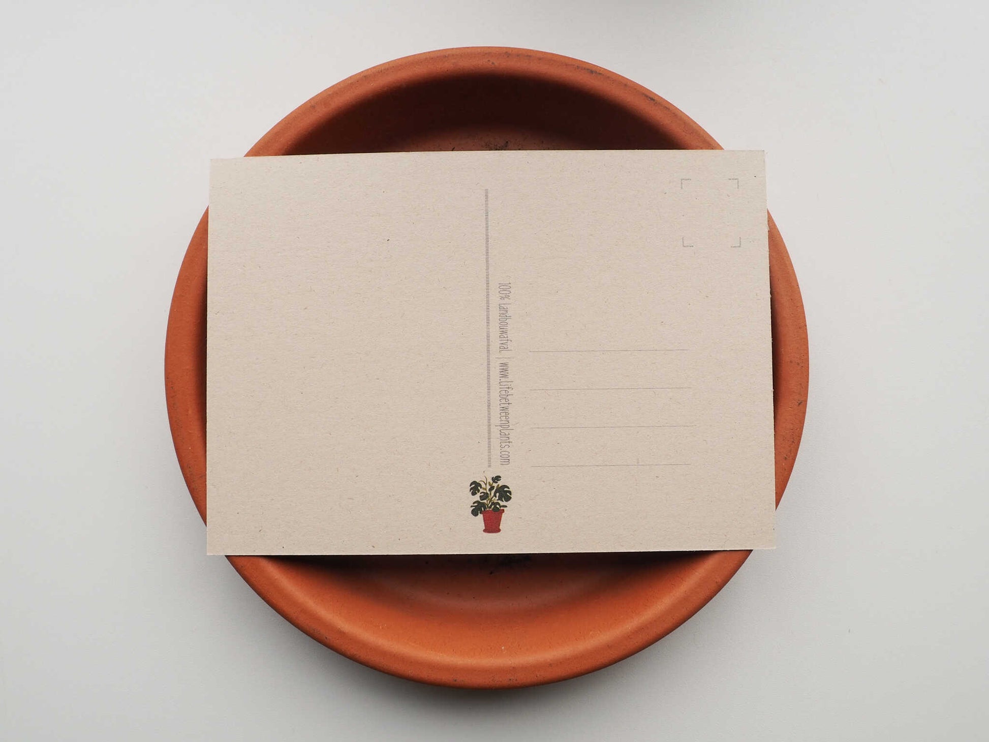 Wenskaart | Baby on the way - Lifebetweenplants