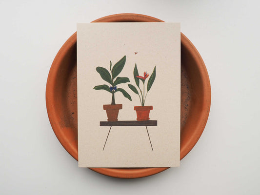 Wenskaart | Just married - Lifebetweenplants