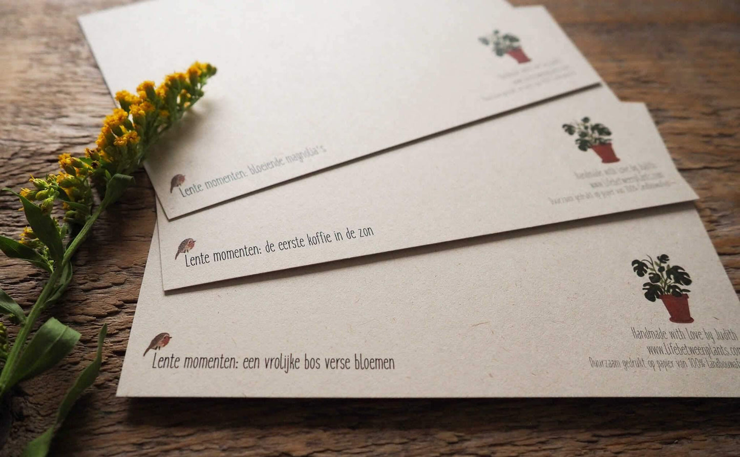 Lente momenten | 3 kaartjes - Lifebetweenplants