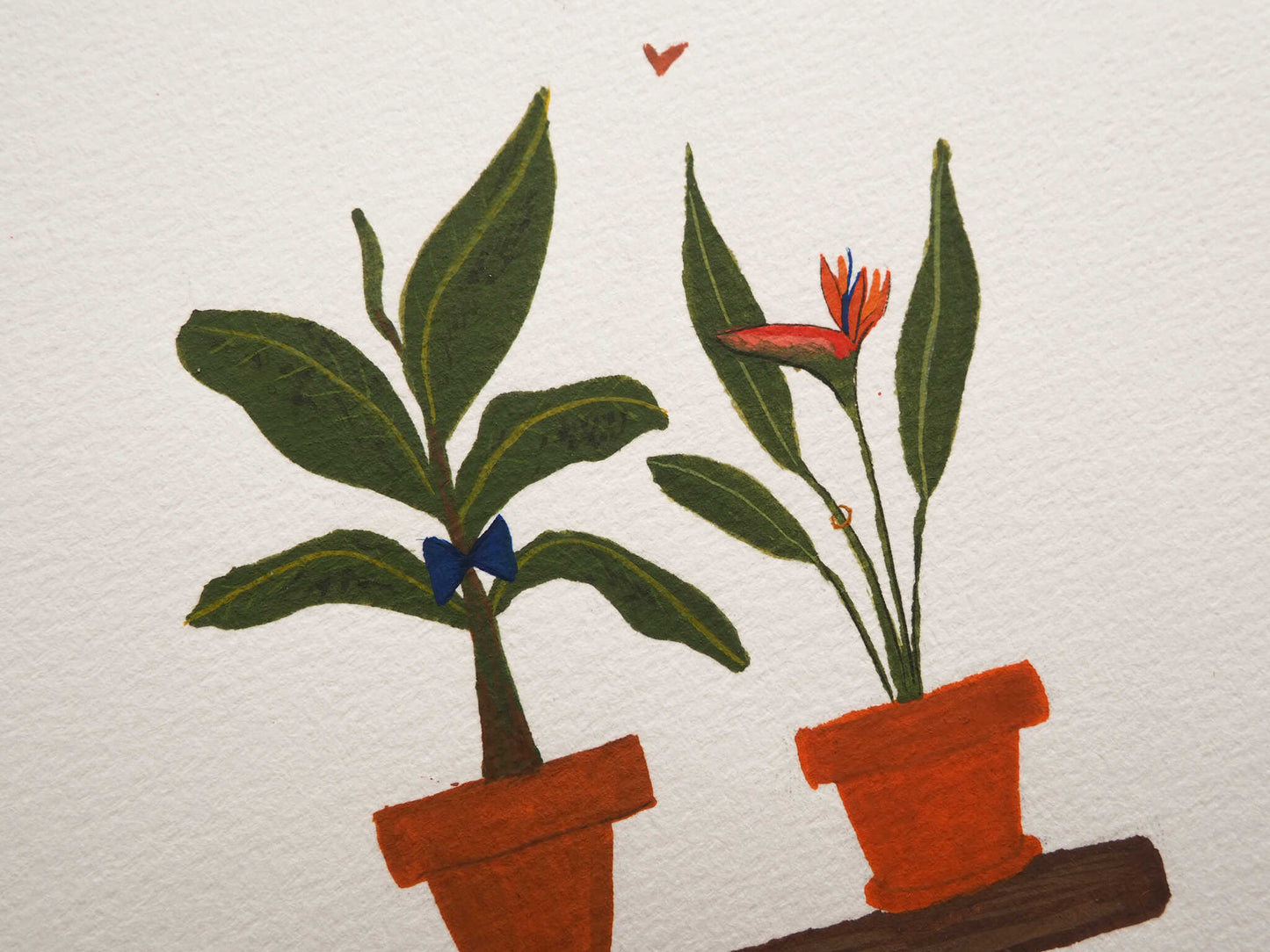 Original | Just married - Lifebetweenplants