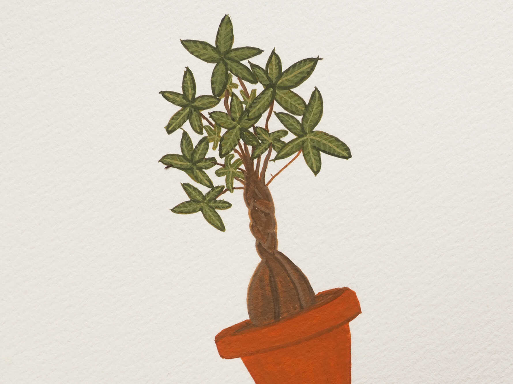 Original | New job - Lifebetweenplants