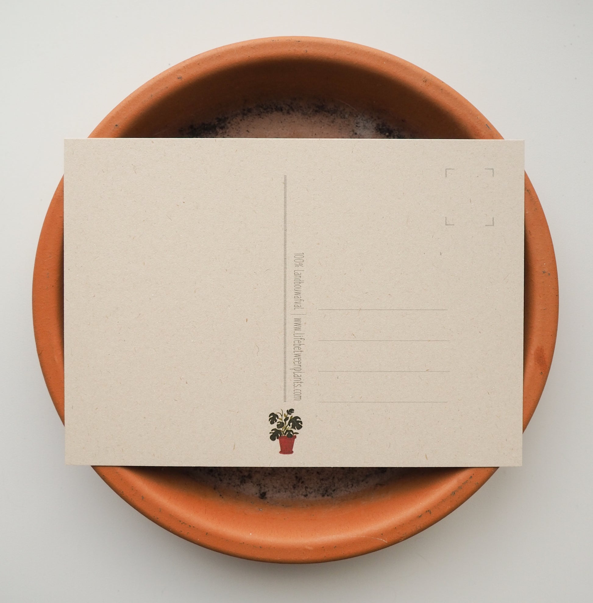 Wenskaart | Coffee? - Lifebetweenplants
