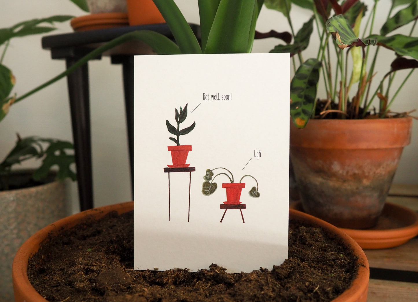 Wenskaart | Get well soon! - Lifebetweenplants