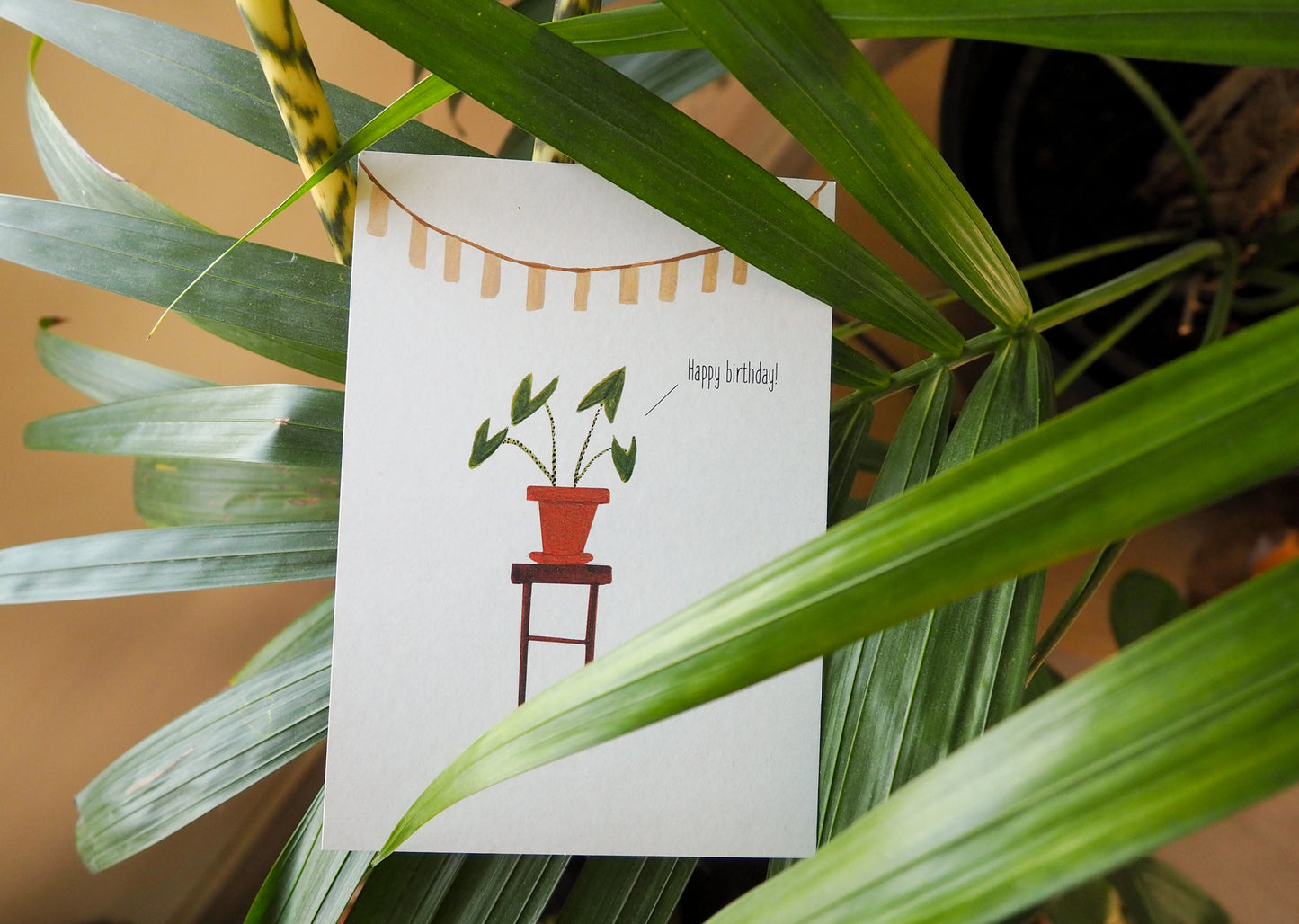 Wenskaart | Happy birthday! - Lifebetweenplants