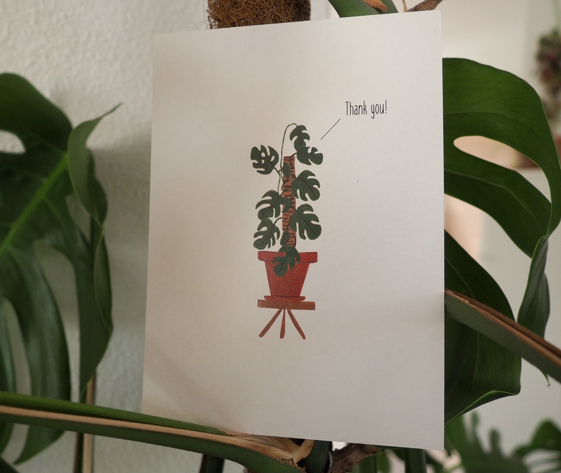 Wenskaart | Thank you! - Lifebetweenplants